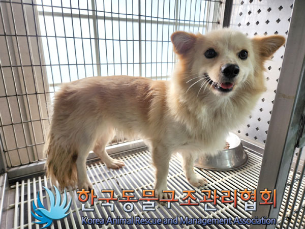한국동물구조관리협회_441409202301570